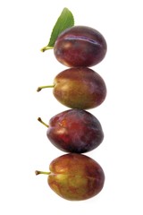 Fresh Plums (Prunus domestica)