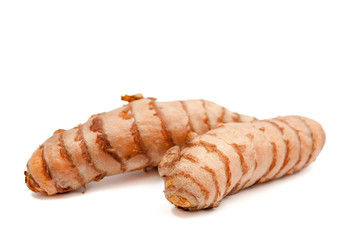 Curcuma