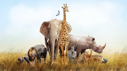 Fototapete Afrika Safaritiere in Afrika Composite