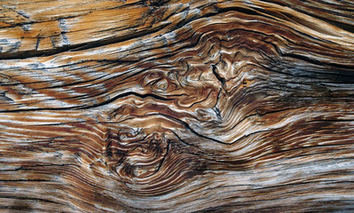 Altholz - aged wood