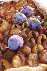 Plum cake, completely filling the image