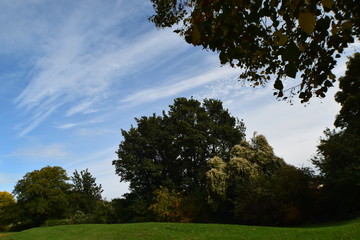 Landscape View Trees And Sky