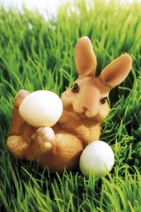 Easter bunny in the grass with eggs