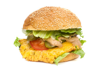 Tasty and appetizing hamburger - isolated
