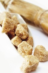 Cane sugar (Saccharum) on a wooden spatula