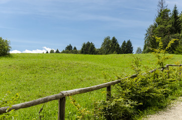 Fototapeta na wymiar a green field on the mountain, view of a green mountain field under a blue sky