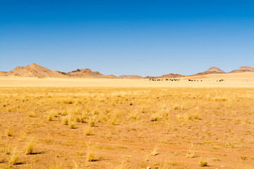 Fototapeta na wymiar view of a scenery inside namib naukluft park, seen in namibia, africa