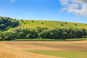 Obraz premium Late Summer Landscape