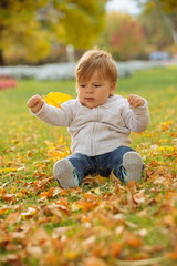 Little boy playing in the autumn park