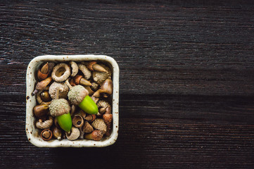 Dark Table with Dish of Acorns