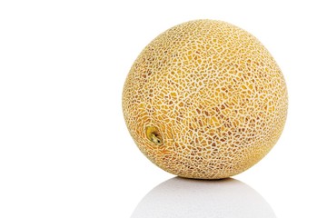 Galia Melon (Cucumis melo var. reticulata 'Galia')