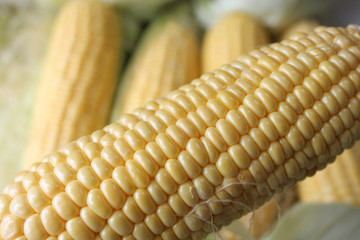 corns
