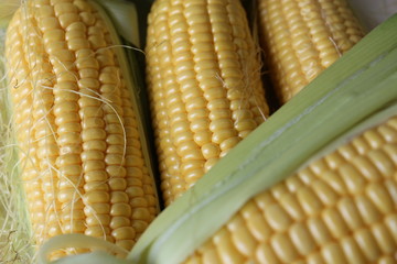 corns