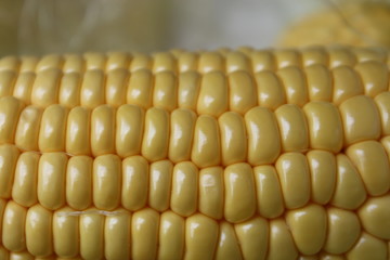 corn
