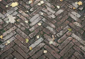 Background old brick wall with autumn leaves.