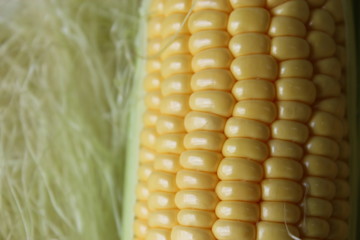 corn