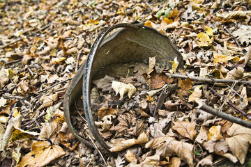 Rusty bucket in a wood