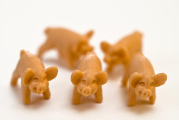 Five small toy pigs