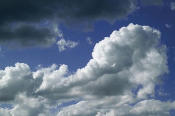 Fototapeta premium Clouds