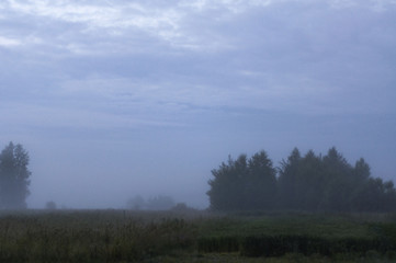 Fototapeta premium foggy dawn