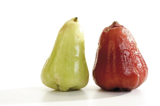 Red and green Java apple (Syzygium samarangense)