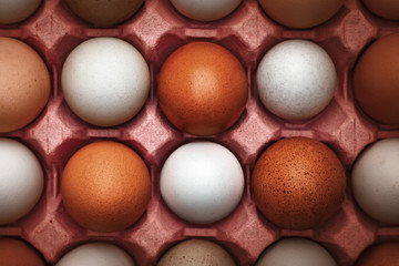 Colorful eggs on egg tray
