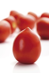 Plum tomatoes, Heirloom Tomato variety (Lycopersicon esculentum)