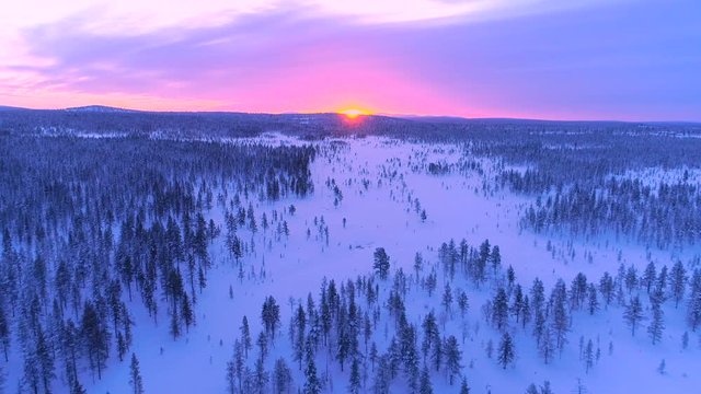 AERIAL CLOSE UP Flying over snowy spruce forest treetops at gorgeous winter sunset. Stunning reddish sunrise behind the endless winter forest covered in fresh snow. Winter pine forest under pink sky