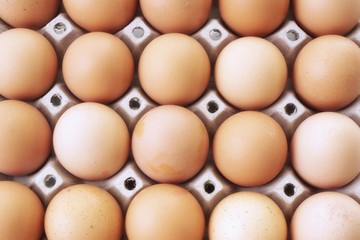 Brown eggs in a egg carton