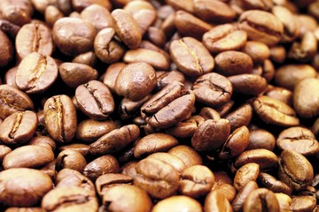 Coffee beans, filling entire image