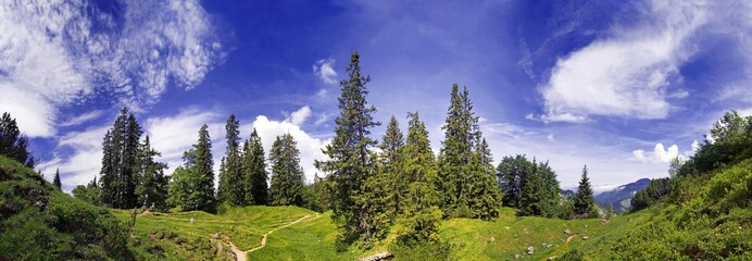Panoramic view of a mountain forest under a blue sky near Kreuth, Bavaria, Germany, Europe - Powered by Adobe