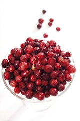 American Cranberries or Bearberries (Vaccinium macrocarpon)