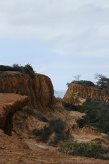 torrey pines
