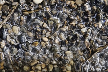 Gravel frozen in ice
