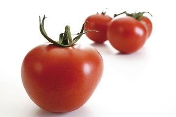 Fresh organic tomatoes (Solanaceae)