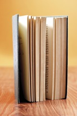 Upright book © imageBROKER