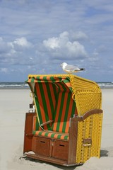 Wicker beach chair with gull, Juist, Lower Saxony, Germany, Europe
