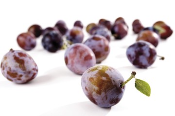 Fresh plums (Prunus)