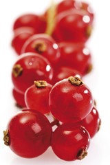 Bunch of red currants