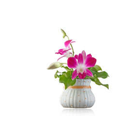 docorate of orchid flowers.