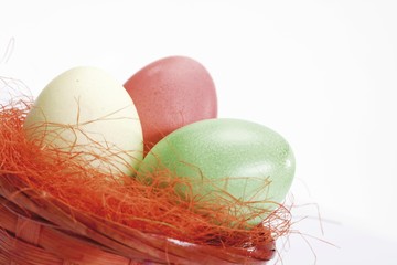 Pastel-coloured Easter eggs in a nest