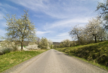 Fototapeta na wymiar Road through the Hassberge in spring, Lower Franconia, Bavaria, Germany, Europe