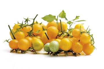 Yellow cocktail tomatoes