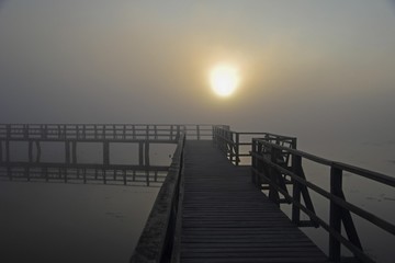 Obraz premium Sunrise at Lake Federsee, morning mood, nature reserve near Bad Buchau, Upper Swabia, Baden-Wuerttemberg, Germany, Europe