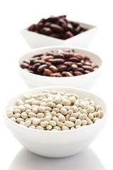 Different types of dried beans in bowls
