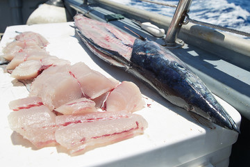 Fresh cut fish on an ocean charter boat