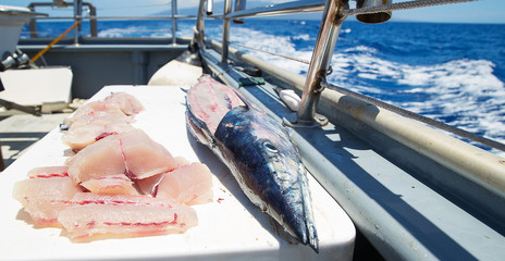 Fresh cut fish on an ocean charter boat
