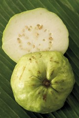 Guava (Psidium guajava), cut-open
