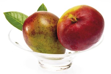 Mangoes (Mangifera indica)