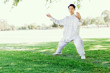 Handsome man practicing thai chi